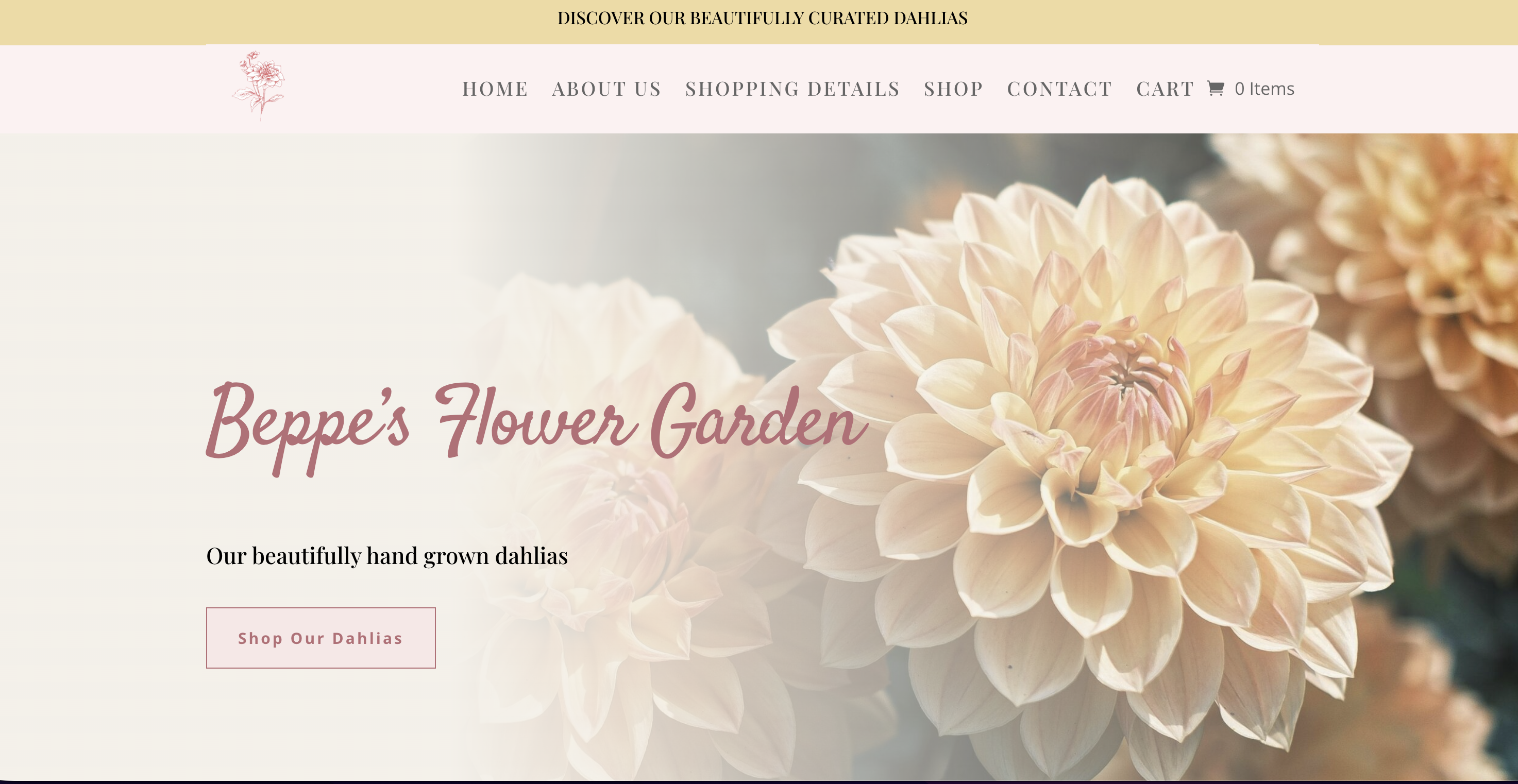 Beppes Flower Garden Showcase